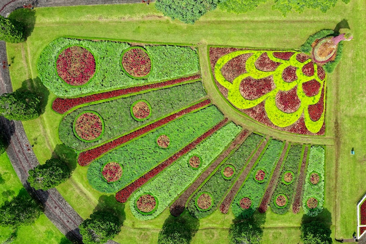 Create Your Dream Garden: Essential Design Planning Guide